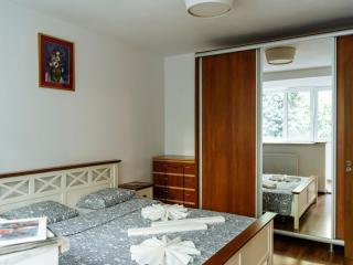 Old Town Historic Apartment with Backyard Mini Park - Bucarest - 6