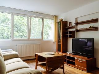 Old Town Historic Apartment with Backyard Mini Park - Bucarest - 8