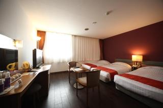 Hotel Naturwald Furano - Furano - 7