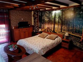 Ranch pod lesom Slovensky Raj - Spišský Štiavnik - 9