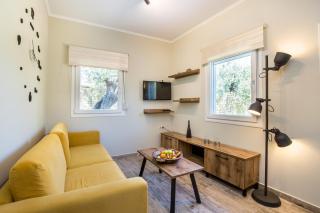 Villa 4 you iliopetra - 3