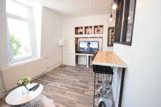 DESIGN APPART - HYPER CENTRE - TRAM - FREE WIFI - leRelaisdOdile21 - Valenciennes - 2