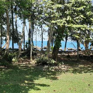 Cahuita Inn - Cahuita - 5