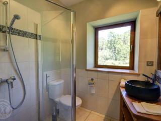 Gîte de charme avec piscine privative, terrasse, jardin, proche rivière - animaux acceptés - FR-1-496-25 - Croizet-sur-Gand - 2