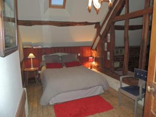 Gîte de charme avec jardin, proche Alençon, idéal pour familles, tout équipé avec WIFI et BBQ. - FR-1-497-122 - Forges - 6
