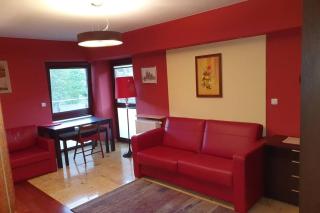 Przytulny apartament nr 115 Krynica Zdrój - Krynica-Zdrój - 3