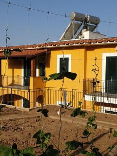Casa Vacanze Il Frutteto - Massa Lubrense - 0