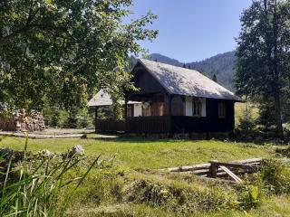 La Malu' Bistritei - casutele Valea Stanii - Valea Stînii - 8