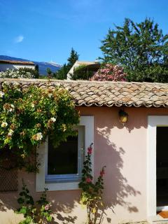 The Neame House - Bédoin - 1