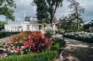 Hotel Pałac Romantyczny - 1