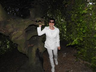 Au Coeur Des Vignes - 7