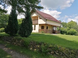 Casa de vacanța Marin - Arpaşu de Sus - 6