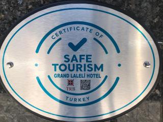 Grand Laleli Hotel - Istanbul - 8