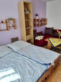 Apartmán Palenica - Tatranska Strba - 8