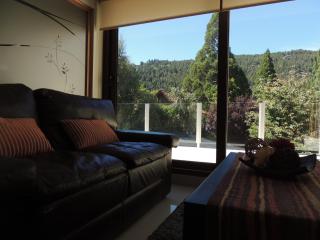 Abedul Apartamentos - San Martín de los Andes - 1
