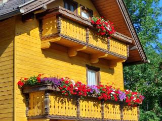 CHALET SCHWALBENNEST - 3