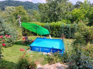 Casuta cu Trandafiri - Slănic - 9