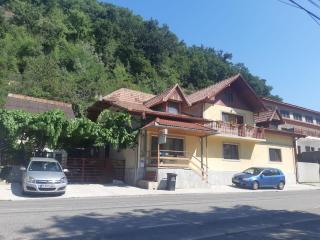 Casa Dina - Băile Herculane - 8