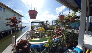 Urania House - Bocas del Toro - 2