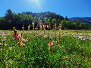 La Bergerie à Menée - Châtillon-en-Diois - 8