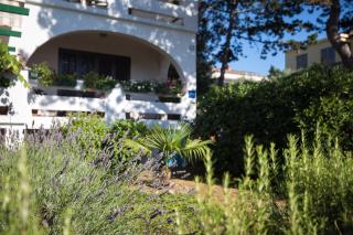 Apartmani Anita - Punat - 9