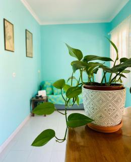 Camelia Studios - Yenion - 5