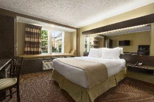 Microtel Inn & Suites by Wyndham Columbia Fort Jackson N - Columbia - 8