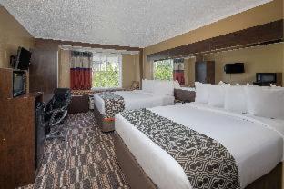 Microtel Inn & Suites by Wyndham Columbia Fort Jackson N - Columbia - 6