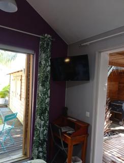 Margayillat - Manapany-les Bains - 5