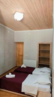 Teo Guesthouse and Camping in Mestia - 6