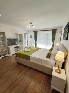 Green Studio - Predeal - 3