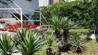 Apartments Mirjana 150m from the beach - 6