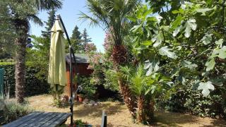 Apartments Mirjana 150m from the beach - 4