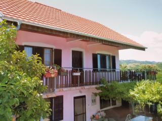 Apartman Jaredić - Private Accommodation, Privatni Smeštaj - Donji Milanovac - 0