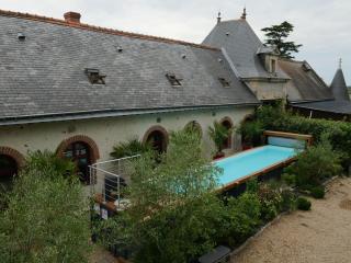 GITE LONGERE DE 15 PERSONNES AU CHATEAU DE JALLANGES VOUVRAY - Vernou-sur-Brenne - 9