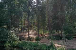 Lasoterapia (Foresttherapy) - Sopieszyno - 8