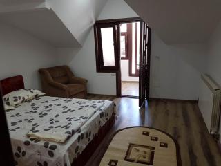 Casa Olanesti - Băile Olăneşti - 2