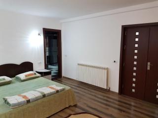 Casa Olanesti - Băile Olăneşti - 1