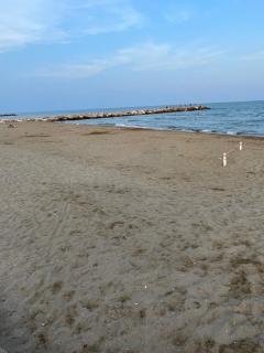 Eraclea Palace Hotel 4 stelle S - Eraclea Mare - 5