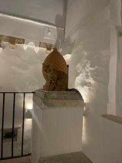 Palazzo NUR - Gallipoli - 1