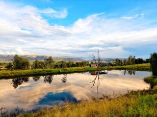 The Fat Mulberry Guest Farm - Fouriesburg - 7