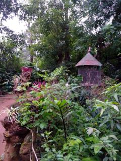 KOOMANKOLLY RESORT - Thirunelli - 3
