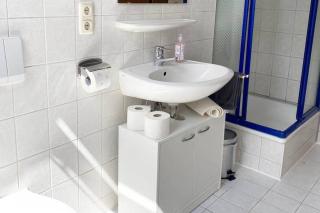 Apartment mit Dachterrasse nahe Zwickau - Glauchau - 4