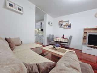Apartman Temida Lux - Vrnjačka Banja - 5