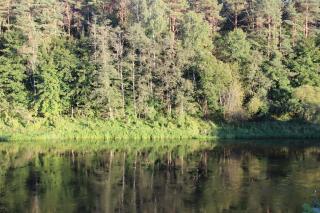 Neries Vila - 2