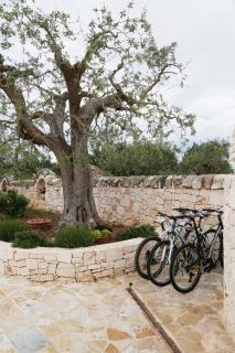 Trullo Montetrecarlini - Alberobello - 5