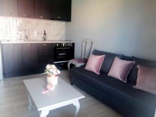 Euphoria Superior Suite Apartment - 5