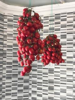 H Hostel Friendly Accommodation - Ercolano - 2