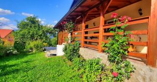 Casa Andreea și Grigore Ursu - Borşa - 3