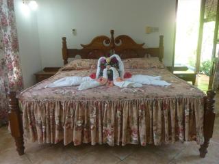 Beryl Guesthouse - La Digue - 9
